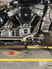 FXST 2023 Softail® Standard thumb 2