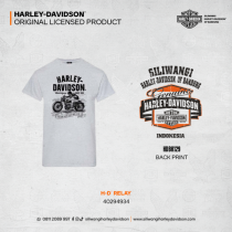 H-D RELAY