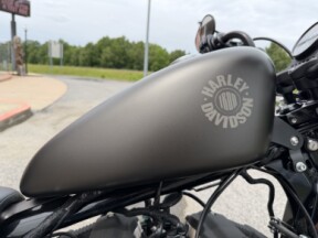2021 Harley-Davidson® Iron 883™ River Rock Gray Denim thumb 0
