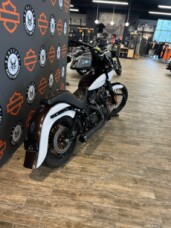 FXBB 2019 Street Bob® thumb 3