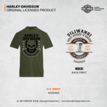 H-D MERIT
