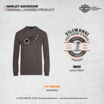 H-D REBORN