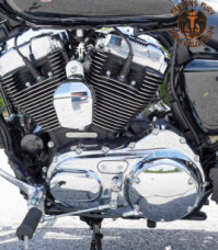 XL1200C 2017 1200 Custom thumb 3