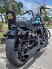 XL 1200NS 2019 Iron 1200™ thumb 2
