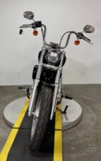 FXST 2023 Softail® Standard thumb 0