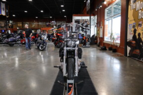 FXST 2020 Softail Standard® thumb 0