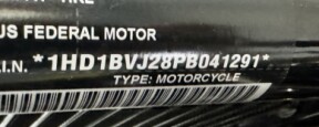 FXST 2023 Softail® Standard thumb 2
