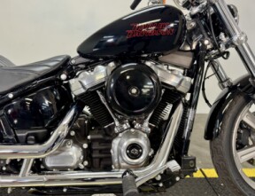 FXST 2023 Softail® Standard thumb 3