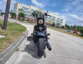 XL 1200NS 2019 Iron 1200™ thumb 1