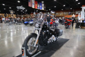 FXST 2020 Softail Standard® thumb 1