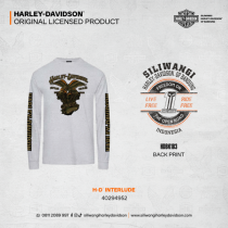 H-D INTERLUDE