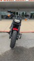 2023 Harley-Davidson® Fat Bob® 114 Redline Red