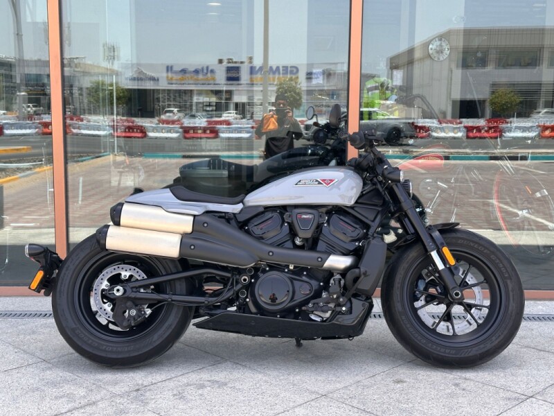 2025 Harley-Davidson® Sportster™ S Billiard Gray