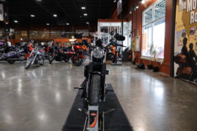 XL 883N 2022 Iron 883™ thumb 0