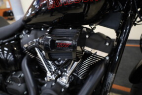 FXLRS 2025 Low Rider™ S thumb 0