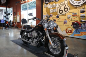 FLSTN 2009 Softail® Deluxe thumb 2