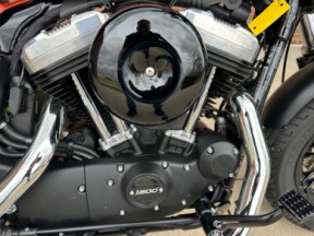 2019 Harley-Davidson Sportster Forty-Eight XL1200X thumb 2