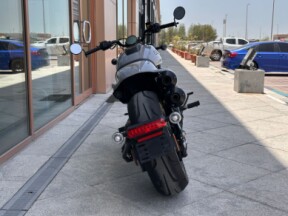 2025 Harley-Davidson® Sportster™ S Billiard Gray thumb 1