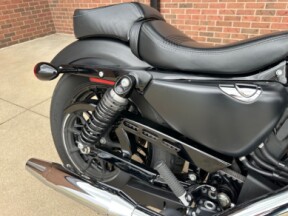 2019 Harley-Davidson Sportster Forty-Eight XL1200X thumb 1