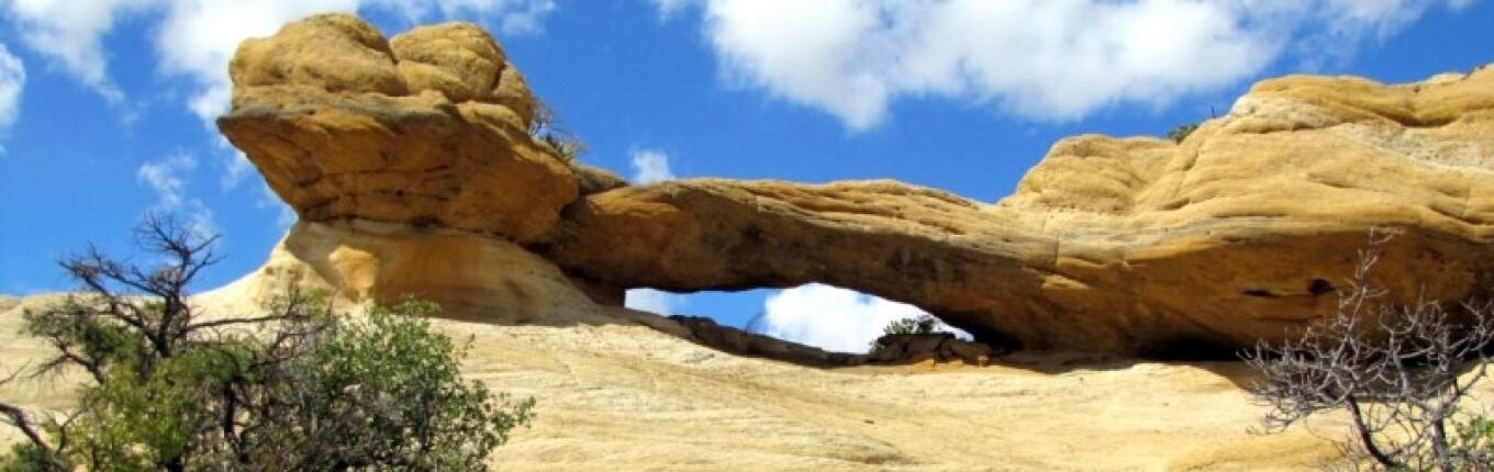 Where Aztec Riders Begin Their Adventure