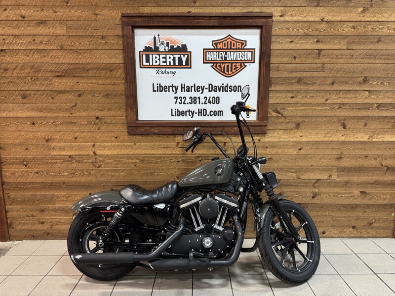 2019 Harley-Davidson® Iron 883™ Industrial Gray  XL883N