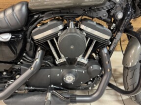 2019 Harley-Davidson® Iron 883™ Industrial Gray  XL883N thumb 2