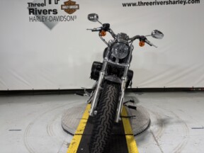 2015 Harley-Davidson® 1200 Custom XL1200 CB Charcoal Pearl thumb 1