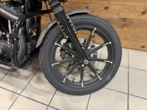 2019 Harley-Davidson® Iron 883™ Industrial Gray  XL883N thumb 1