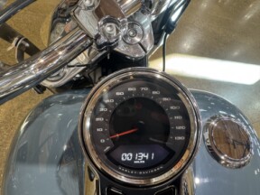 Harley-Davidson® Fat Boy™ 114 2024 FLFBS SHARKSKIN thumb 0