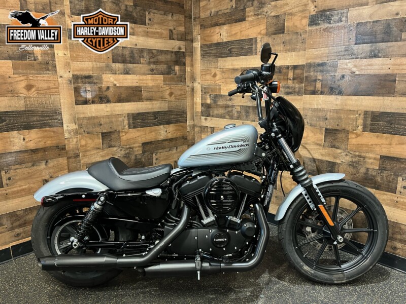 2020 Harley-Davidson® Iron 1200™ Barracuda Silver XL1200NS
