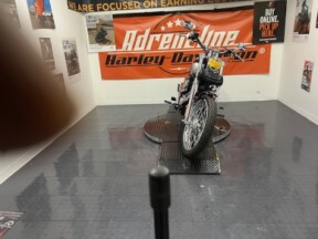 2007 Harley-Davidson® Softail Deuce thumb 1