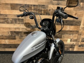 2020 Harley-Davidson® Iron 1200™ Barracuda Silver XL1200NS thumb 0