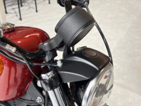 2019 Harley-Davidson® Iron 883™ thumb 2