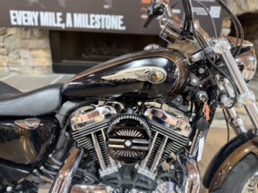 2013 XL1200C - 1200 CUSTOM - ANNIVERSARY thumb 3