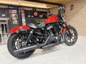 2019 Harley-Davidson® Iron 883™ thumb 3