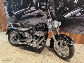 FLSTC 2009 Heritage Softail® Classic thumb 3
