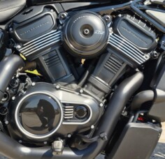 RH975 2026 Nightster® thumb 2