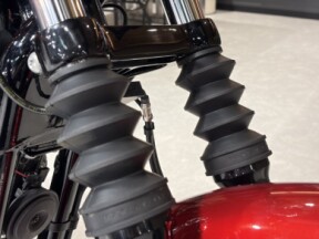 2019 Harley-Davidson® Iron 883™ thumb 0