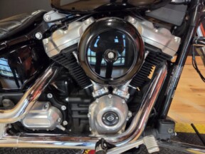 FXST 2021 Softail Standard® thumb 2