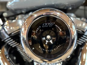 2026 FXBB - STREET BOB thumb 2