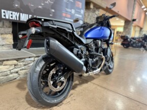 2026 RA1250ST - PAN AMERICA ST  thumb 0