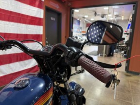 Harley-Davidson® Iron 1200™ 2020 XL 1200NS BILLIARD BLUE thumb 1