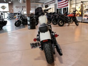 2022 Harley-Davidson Iron 883 Cruiser thumb 1