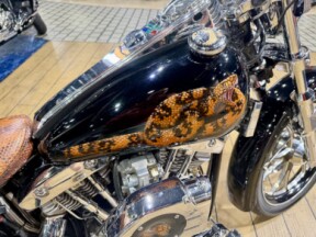  1974 FXSG thumb 3