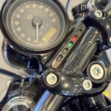 2016 Harley-Davidson Forty-Eight XL1200X thumb 0