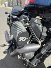 2020 Iron Sportster 1200  thumb 1