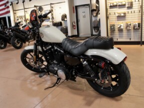 2022 Harley-Davidson Iron 883 Cruiser thumb 0
