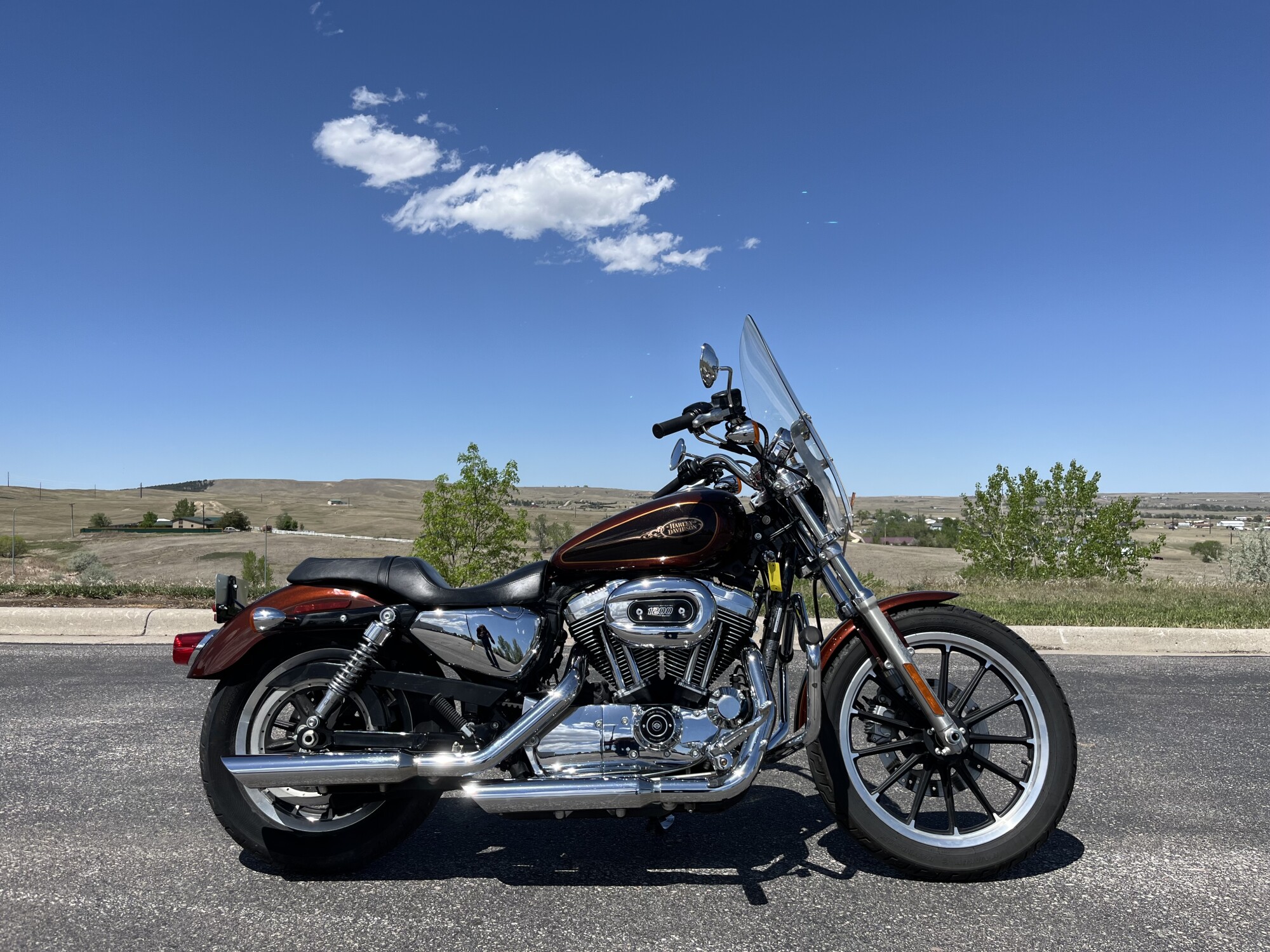 2009 Harley Davidson Sportster 1200 Low