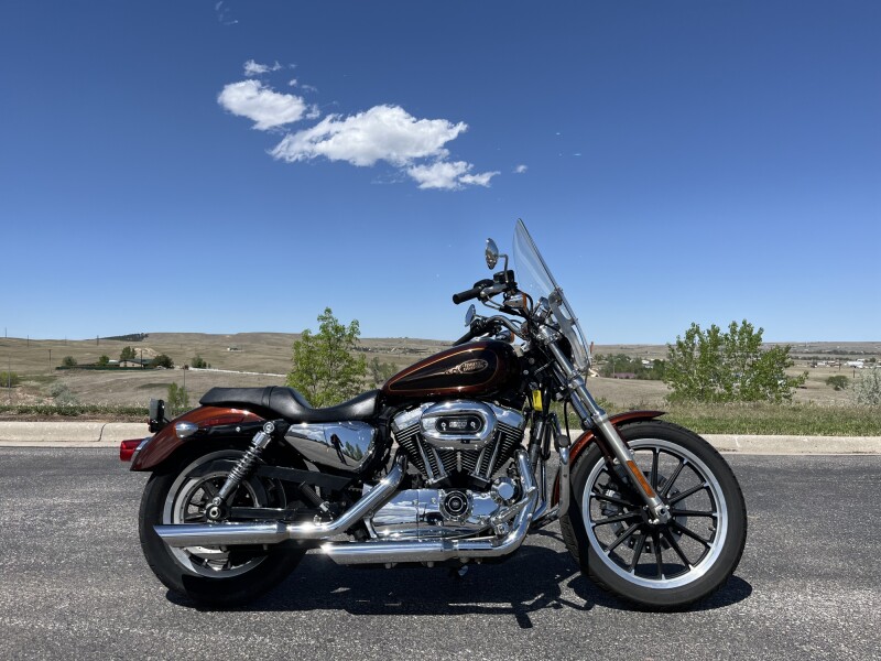 2009 Harley Davidson Sportster 1200 Low