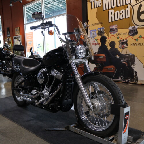 FXST 2020 Softail Standard® thumb 2